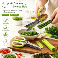 2 szt. za 99 zł 🌿✂️ Nożyczki do ziół 5 ostrzy – posiekaj świeże zioła w kilka sekund!