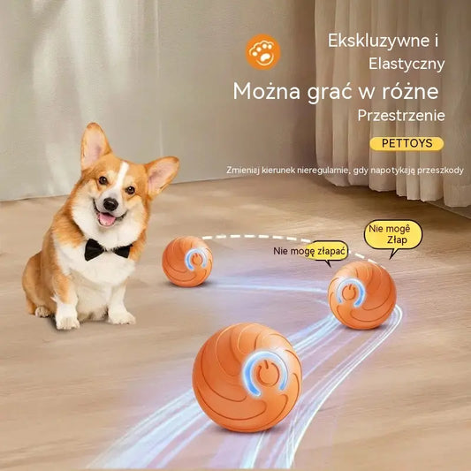 🐶 Kup 1, drugi GRATIS! Inteligentna piłka interaktywna dla psa – sama skacze i zajmuje pupila na dłużej 🎾